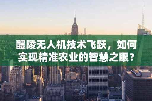 醴陵无人机技术飞跃，如何实现精准农业的智慧之眼？
