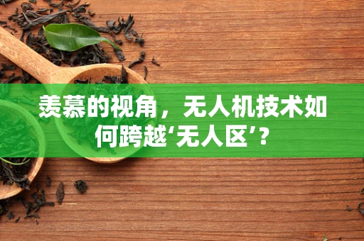 羡慕的视角，无人机技术如何跨越‘无人区’？