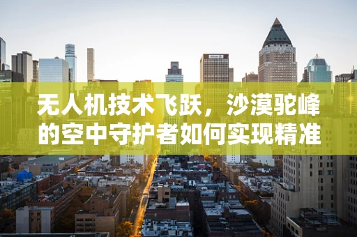 无人机技术飞跃，沙漠驼峰的空中守护者如何实现精准导航？