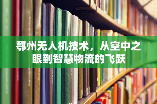 鄂州无人机技术，从空中之眼到智慧物流的飞跃