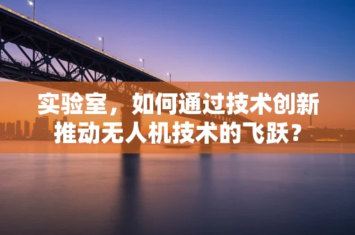 实验室，如何通过技术创新推动无人机技术的飞跃？