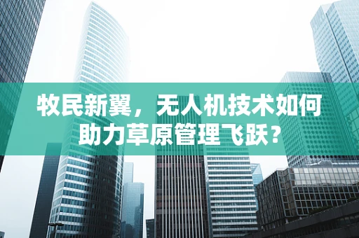 牧民新翼，无人机技术如何助力草原管理飞跃？