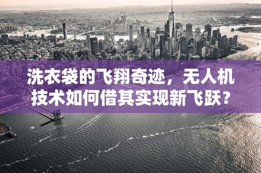 洗衣袋的飞翔奇迹，无人机技术如何借其实现新飞跃？