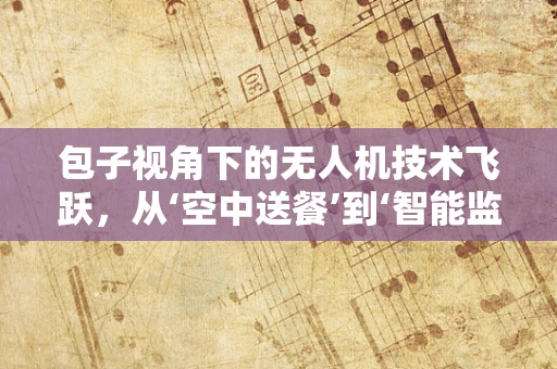 包子视角下的无人机技术飞跃，从‘空中送餐’到‘智能监控’的蜕变