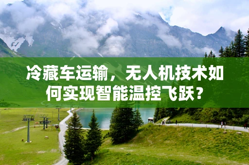 冷藏车运输，无人机技术如何实现智能温控飞跃？