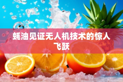 蚝油见证无人机技术的惊人飞跃