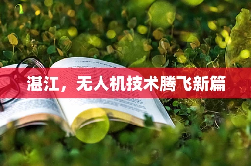 湛江，无人机技术腾飞新篇