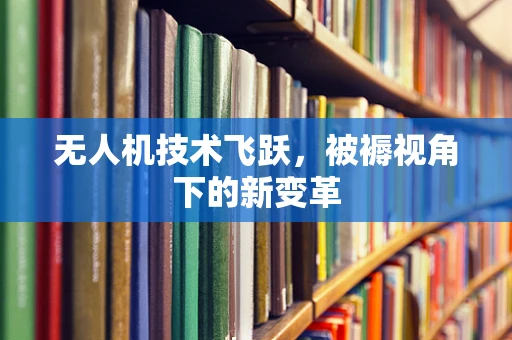 无人机技术飞跃，被褥视角下的新变革