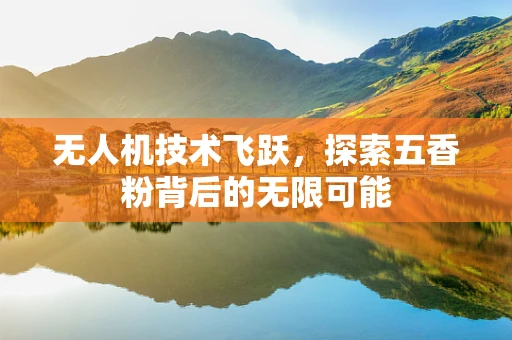 无人机技术飞跃，探索五香粉背后的无限可能