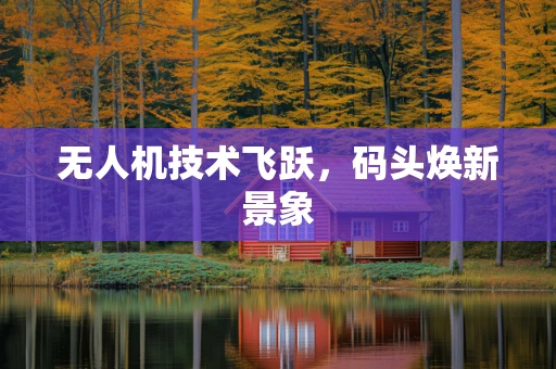 无人机技术飞跃，码头焕新景象