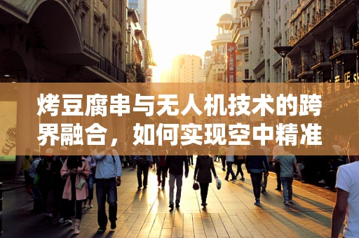 烤豆腐串与无人机技术的跨界融合，如何实现空中精准投送？