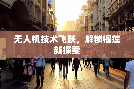 无人机技术飞跃，解锁榴莲新探索