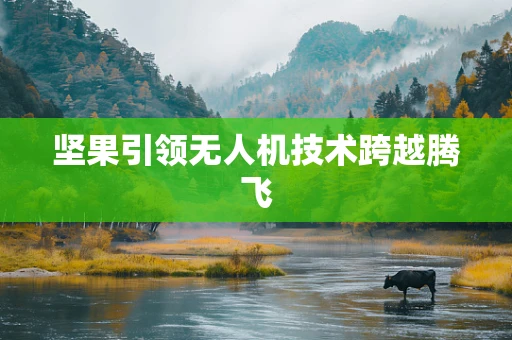 坚果引领无人机技术跨越腾飞