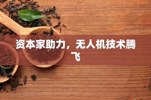 资本家助力，无人机技术腾飞