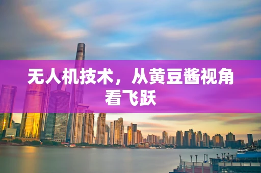 无人机技术，从黄豆酱视角看飞跃
