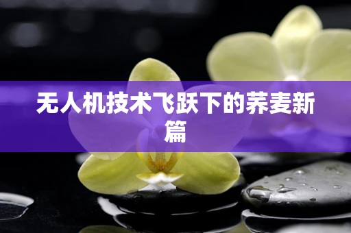 无人机技术飞跃下的荞麦新篇