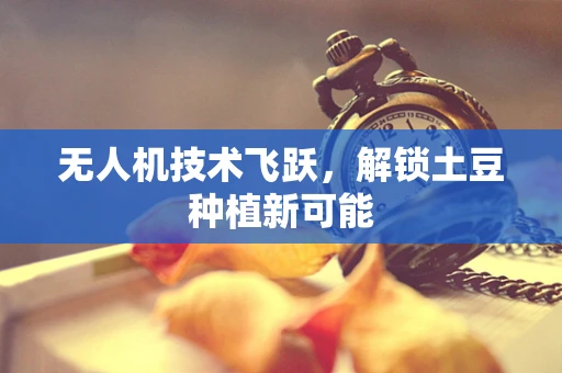 无人机技术飞跃，解锁土豆种植新可能