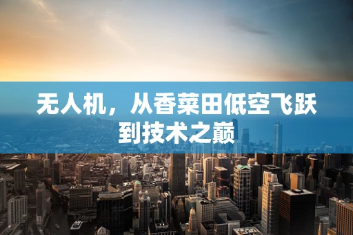 无人机，从香菜田低空飞跃到技术之巅