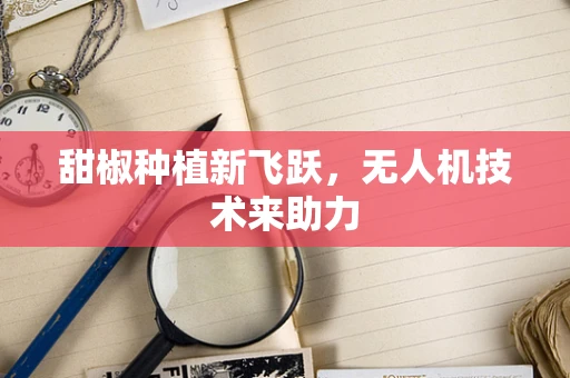 甜椒种植新飞跃，无人机技术来助力