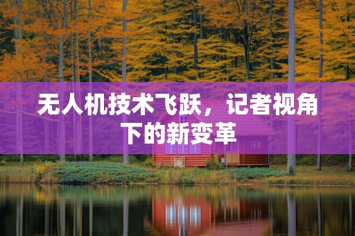 无人机技术飞跃，记者视角下的新变革
