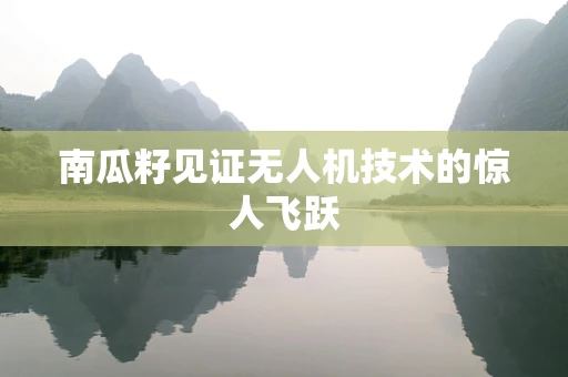 南瓜籽见证无人机技术的惊人飞跃