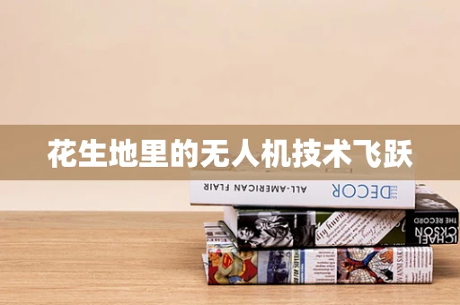 花生地里的无人机技术飞跃