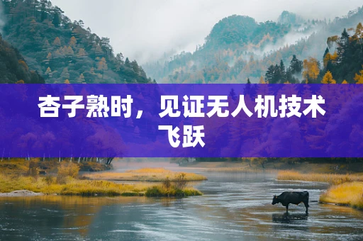 杏子熟时，见证无人机技术飞跃