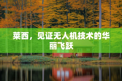 莱西，见证无人机技术的华丽飞跃