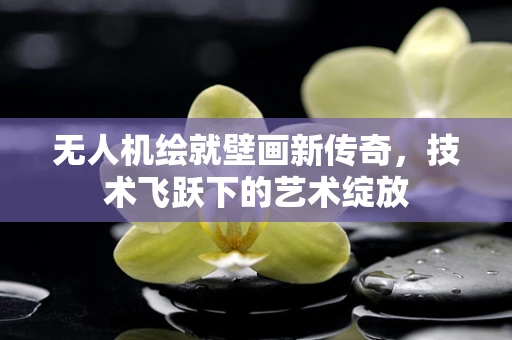 无人机绘就壁画新传奇，技术飞跃下的艺术绽放