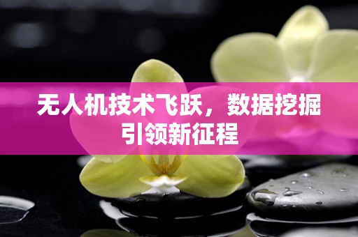 无人机技术飞跃，数据挖掘引领新征程