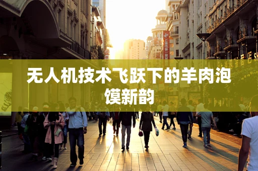 无人机技术飞跃下的羊肉泡馍新韵