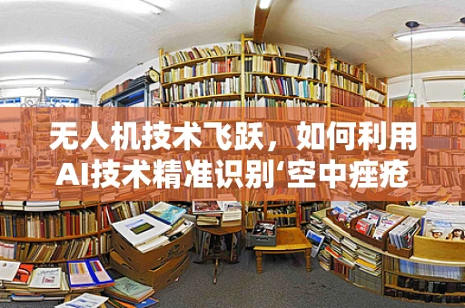 无人机技术飞跃，如何利用AI技术精准识别‘空中痤疮’？