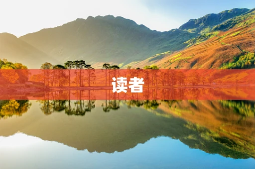 读者
