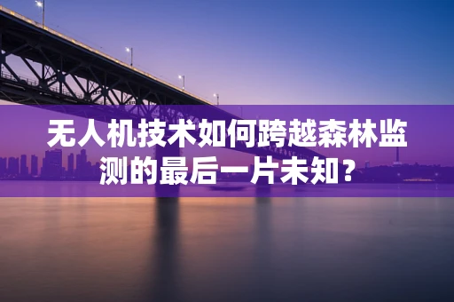 无人机技术如何跨越森林监测的最后一片未知？