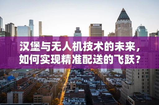汉堡与无人机技术的未来，如何实现精准配送的飞跃？