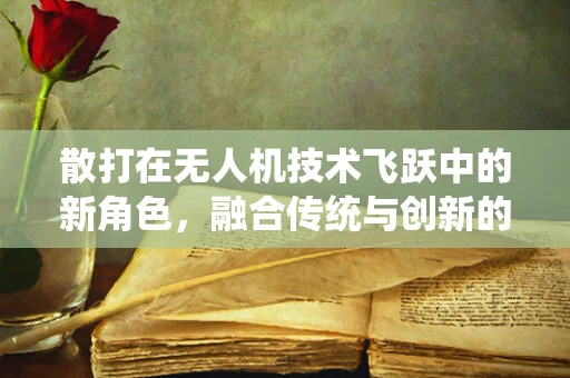 散打在无人机技术飞跃中的新角色，融合传统与创新的挑战