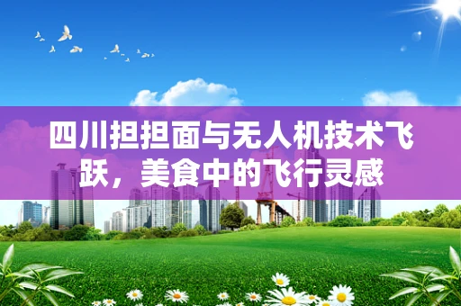 四川担担面与无人机技术飞跃，美食中的飞行灵感