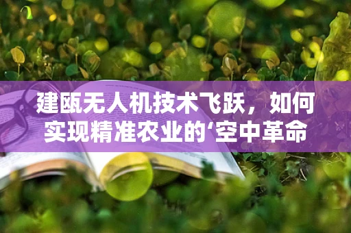 建瓯无人机技术飞跃，如何实现精准农业的‘空中革命’？