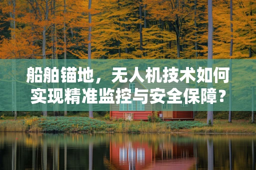 船舶锚地，无人机技术如何实现精准监控与安全保障？