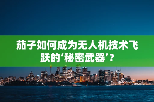 茄子如何成为无人机技术飞跃的‘秘密武器’？