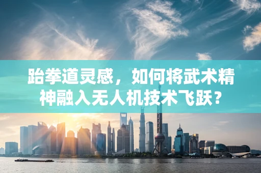 跆拳道灵感，如何将武术精神融入无人机技术飞跃？