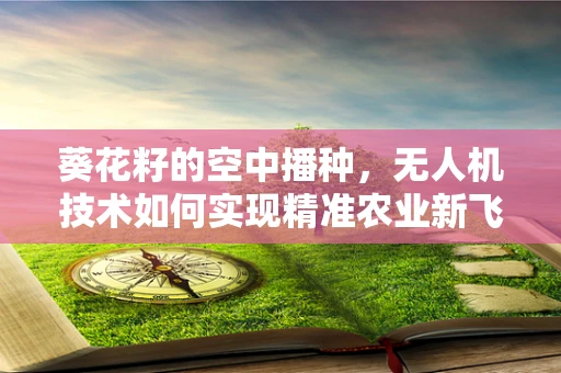 葵花籽的空中播种，无人机技术如何实现精准农业新飞跃？