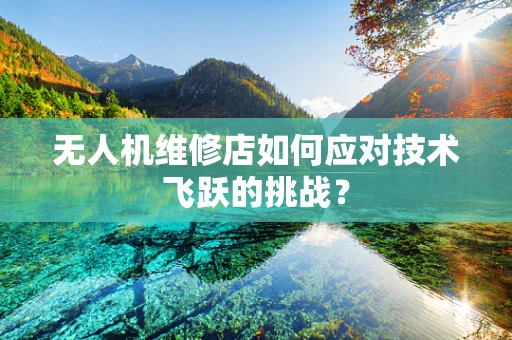 无人机维修店如何应对技术飞跃的挑战？
