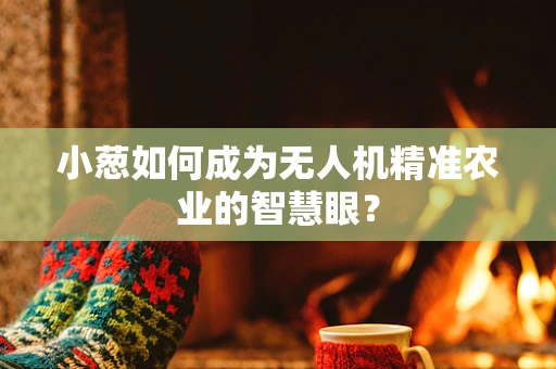 小葱如何成为无人机精准农业的智慧眼？