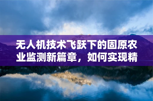 无人机技术飞跃下的固原农业监测新篇章，如何实现精准高效？