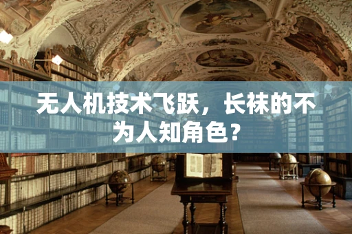 无人机技术飞跃，长袜的不为人知角色？