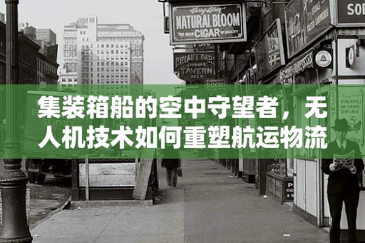 集装箱船的空中守望者，无人机技术如何重塑航运物流？
