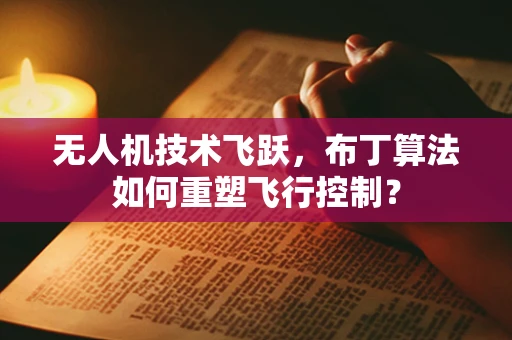 无人机技术飞跃，布丁算法如何重塑飞行控制？
