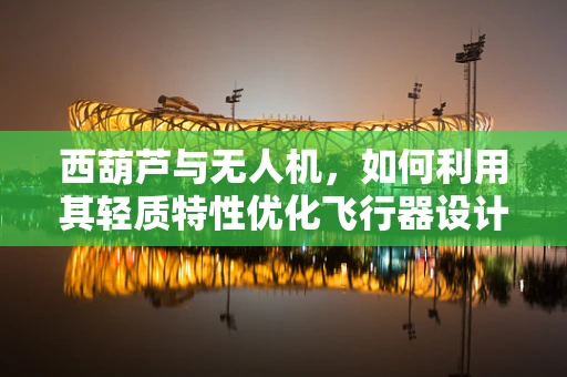 西葫芦与无人机，如何利用其轻质特性优化飞行器设计？