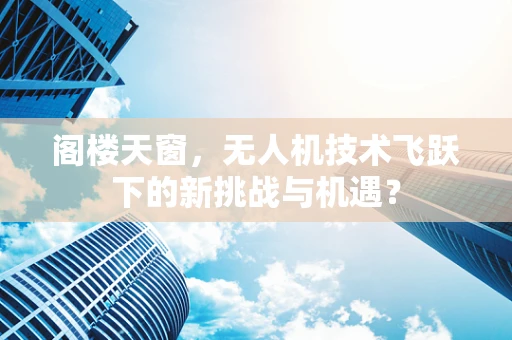阁楼天窗，无人机技术飞跃下的新挑战与机遇？